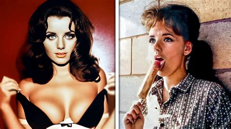 Dawn Wells S Rare Photos Untold Life Story Youtube