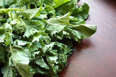 How To Plant And Grow Broccoli Rabe Gardeners Path