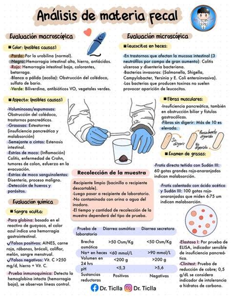 Análisis de Materia Fecal Jhan Carlos Ticlla Mori uDocz