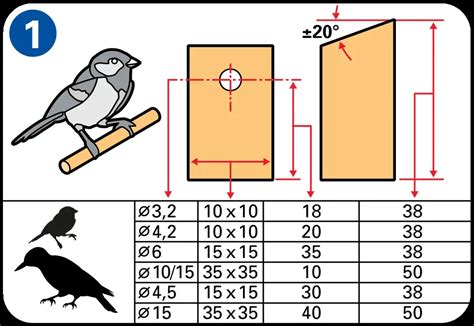 Comment Fabriquer Un Abri Pour Oiseaux Bricobistro