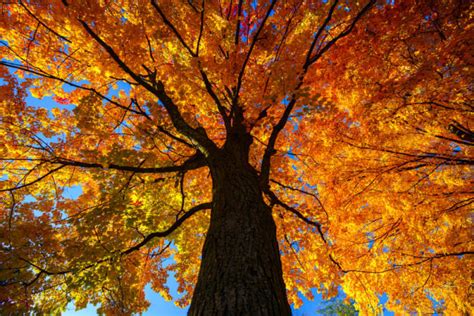 These photos of fall colors shared by viewers are absolutely breathtaking