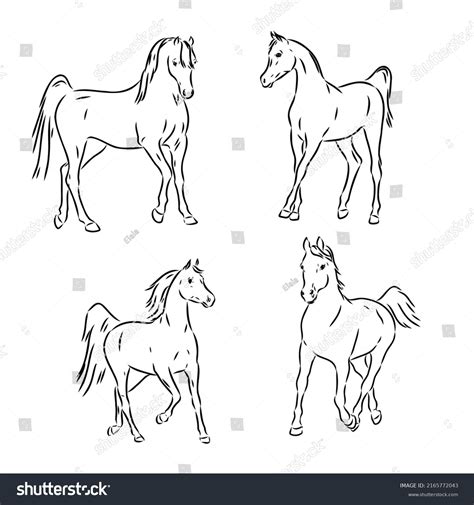 Black Horse Sketch Vector Color Drawing Stock Vector (Royalty Free) 2165772043 | Shutterstock