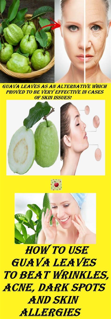 Guava Leaves For Skin - Reciplaza