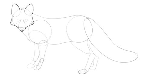 Fox Drawing Guide In 6 Steps For Beginners Video Images