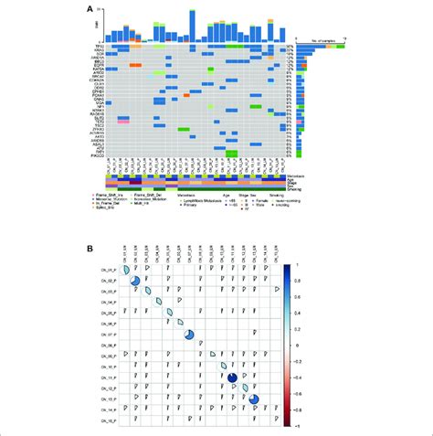 The Genetic Landscape Of Metastatic Nsclc Patients A Comparison Of