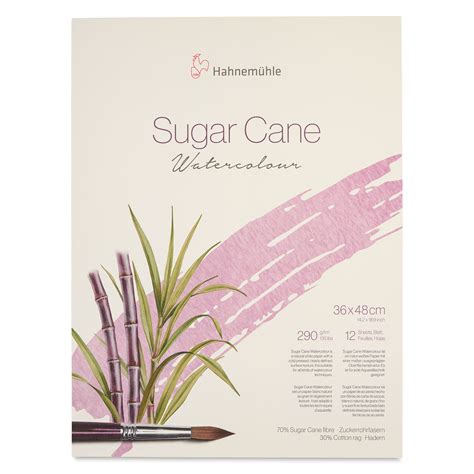 Hahnemühle Sugar Cane Watercolor Block 14 2 x 18 9 12 Sheets