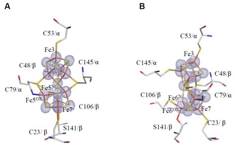 Figure S4 The 2fo Fc Electron Density Map Around The Cp1 P Cluster In