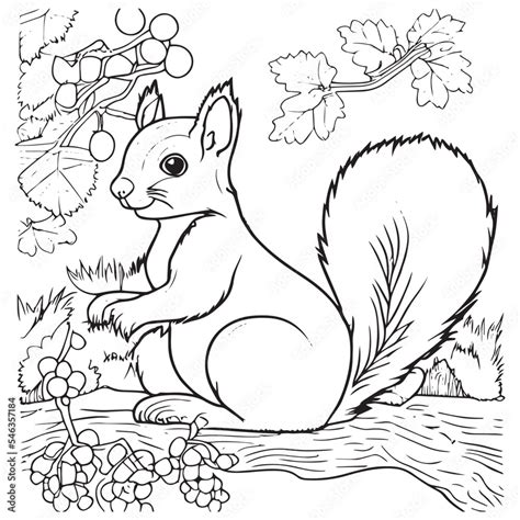 Squirrel outline vector illustration. Coloring book for children ...