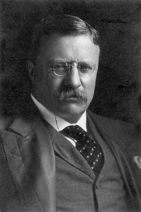 Theodore Roosevelt N1858 1919 26th President Of The United States