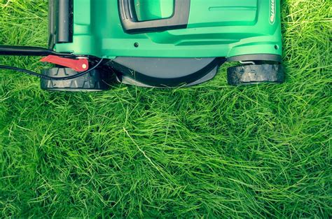 Maximising Lawn Health A Comprehensive Guide To Mulching Lawn Mowers