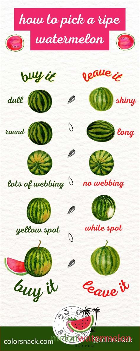 How To Choose The Perfect Watermelon Tips And Tricks Updated