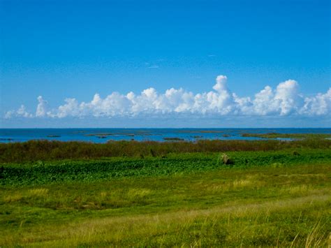 Hiking Lake Okeechobee | Florida Hikes!