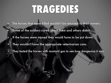 Horses Of WW1 by Carley J