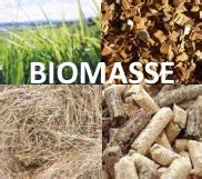 Biomassa Definizione Che Cos E Significato Biomasse Cosa Sono