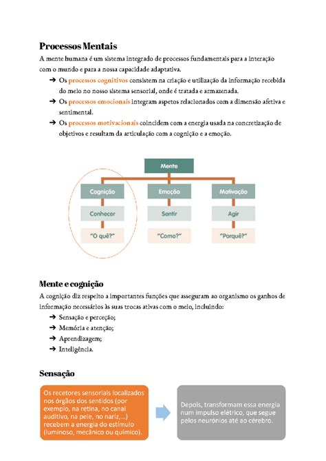 Processos Mentais Resumos Sobre Aprendizagem Intelig Ncia Mem Ria E