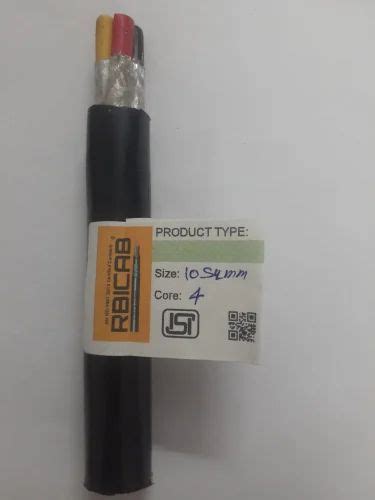 Rbicab 4 Core X 10 Sq Mm Tinned Copper Conductor Pvc Insulated And Pvc Sheathed Cable At Rs 439 76