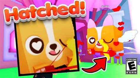 I Hatched The Huge Cupid Corgi In Pet Simulator X Roblox Youtube