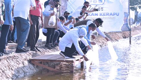 Kunjungi Lamongan Menteri Kkp Dorong Perkembangan Budidaya Kerapu