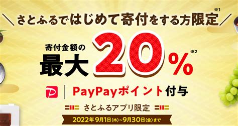 ふるさと納税 最大20％還元は9月30日まで！ 「さとふる」はじめて寄付をする方限定キャンペーン！ ポイント・マイルの逸般人