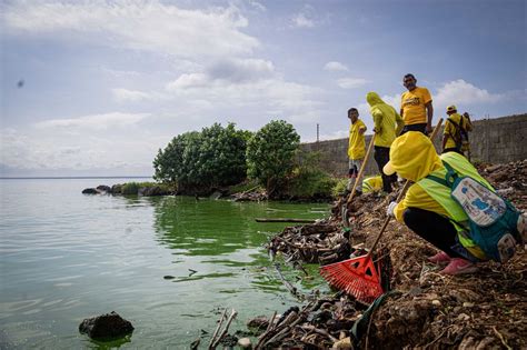 600 TON de desechos sólidos recolectados en el Día de las Playas