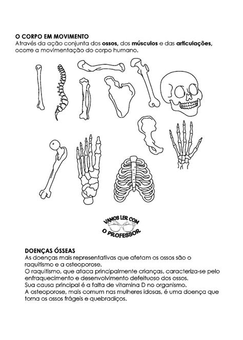 Atividades Sobre Esqueleto Humano Para Imprimir Em Atividades