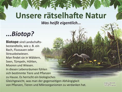 Biotop Lehrtafeln Natur Im Bild Lehrtafeln F R Natur Lehr Oder