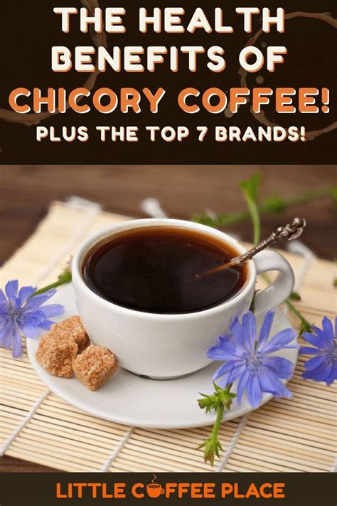 The Health Benefits Of Chicory Coffee Top 7 Brands Review In 2021