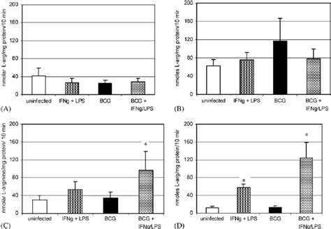 L Arginine Uptake In Peritoneal Macrophages From Inos À À And