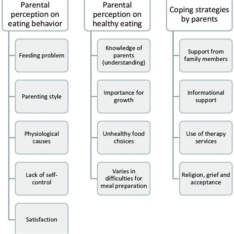 The Summary Of Emerging Themes Download Scientific Diagram