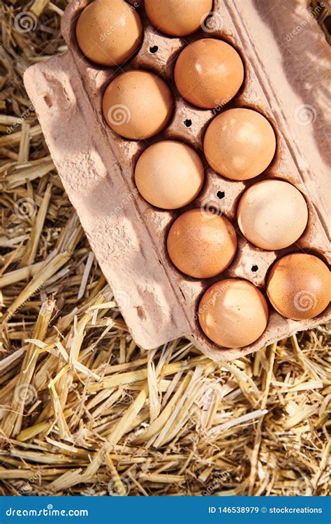 Cardboard Carton Filled With Free Range Eggs Stock Image Image Of