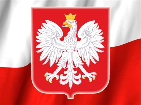 Naklejka Flaga Orze God O Polska Na Tablice Adr Za Z Z Andrych W