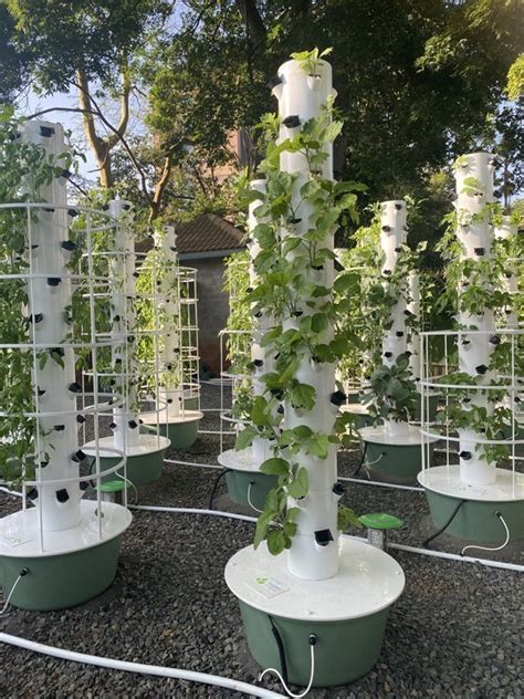 Vertical Aeroponic Farming In Africa Hydroponic Farms