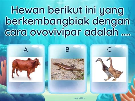 Cara Perkembangbiakan Hewan Quiz