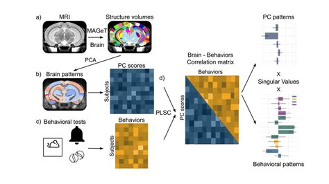 Multivariate Analysis Workflow Performed At Every Timepoint Pnd 21