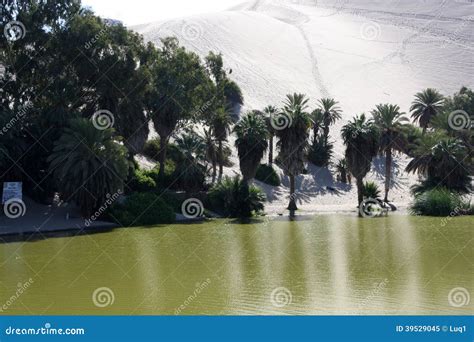 Oasis Of Huacachina In Atacama Desert Peru Stock Image Image Of Peru