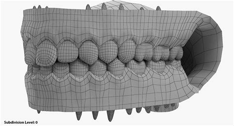 Teeth Mouth Jaw Tongue 3d Model 99 Ma Max Obj Fbx Dae Dxf Stl