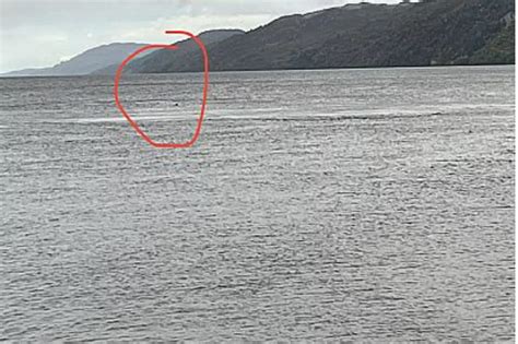 Five Recent Loch Ness Monster Sightings Years After First Photo