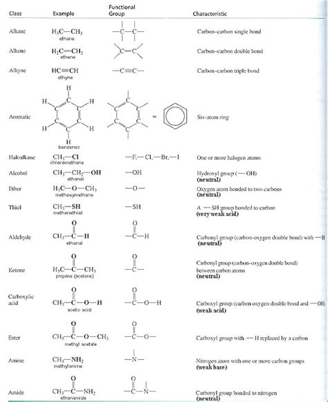 Organic Functional Groups Organic Chemistry