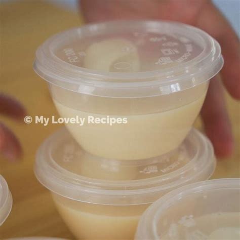 Longan Soymilk Pudding My Lovely Recipes