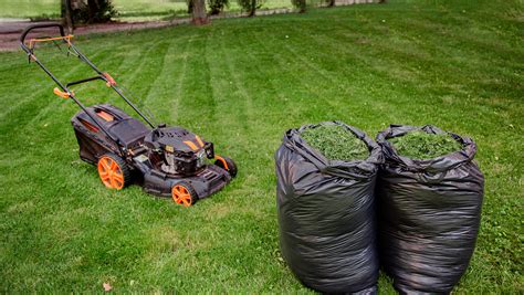 Why We Mulch Grass Clippings Back Into The Lawn The 1 Lawn Mowing Service For Lewisville