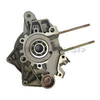 E Oil Pump Crankcase For Cc Stroke Genuine Buddy Rh