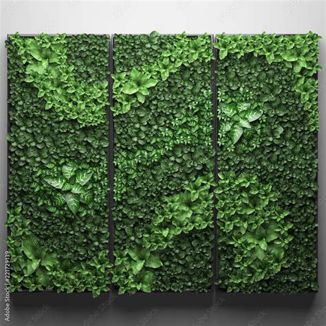 Vertical Gardening Green Wall Stock Photo Adobe Stock