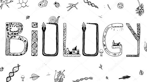 Biology Doodles Vector Stock Vector Image By ©annyart 114587060