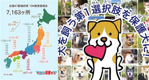 殺処分ゼロ！全国47都道府県、7163ヶ所の小・中・高などへの命の大切さを伝える保護犬啓発ポスターの掲示を実現しました！保護わん一般社団