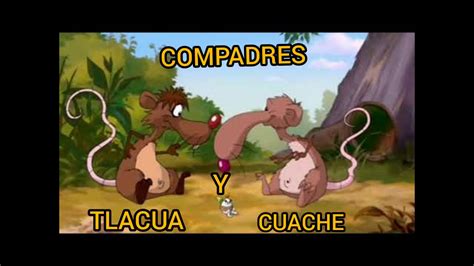 Tlacua Y Cuache Youtube