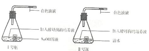 假设有甲乙两组酵母菌分别培养再有足量葡萄糖的广口瓶中甲组瓶口敞开并时常搅拌乙组瓶口密封在消耗等量葡萄糖的情况下两组酵母菌消耗的o2与