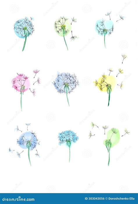 Set Of Spring Flowers Dandelions Watercolor Floral Hand Drawn