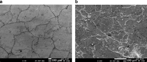 SEM Images Of The W Tungsten Surface Exposed To 100 Plasma Pulses Of