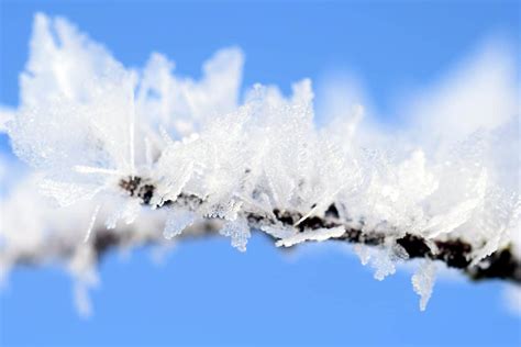 Ipma Estende Aviso Amarelo De Frio At Domingo Para Todo O Continente