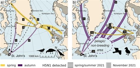 Maps Of Transatlantic Migration Putative Virus Transmission Pathways